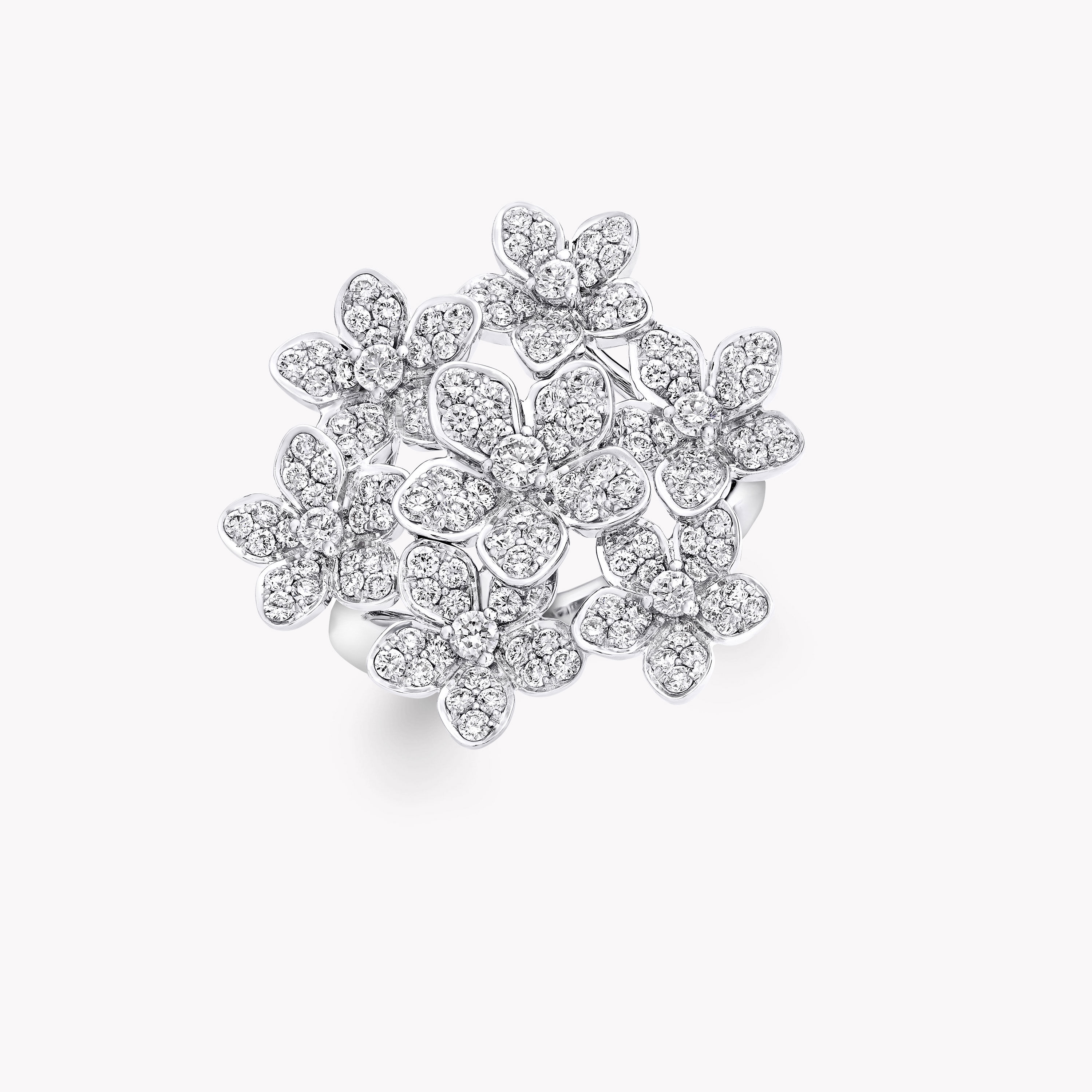 Wild Flower | Diamond Jewelry | Graff